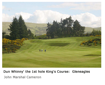 Dun Whinny' the first hole King's Course:  Gleneagles