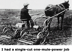 Mule Power